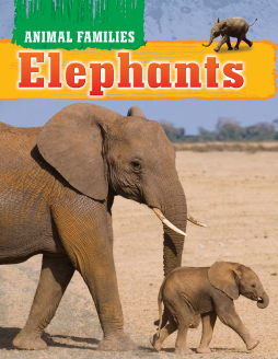 Animal Families - Elephants Animal Families - Elephants