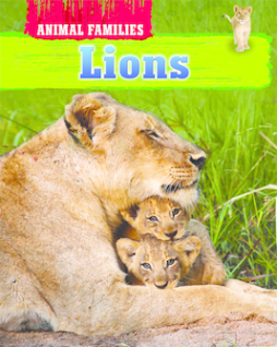 Animal Families - Lions