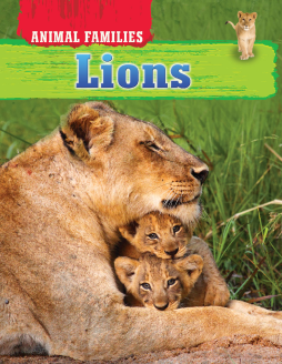 Animal Families - Lions Animal Families - Lions