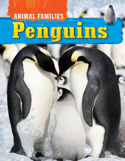 Animal Families - Penguins Animal Families - Penguins