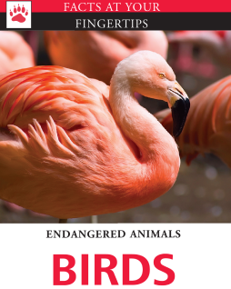 Facts at Your Fingertips: Endangered Animals - Birds Facts at Your Fingertips: Endangered Animals - Birds