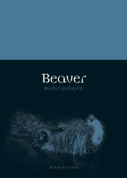 Beaver Beaver