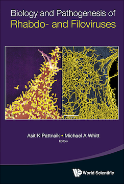 Biology And Pathogenesis Of Rhabdo- And Filoviruses Biology And Pathogenesis Of Rhabdo- And Filoviruses