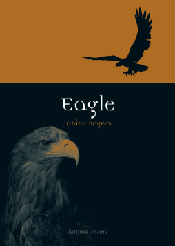 Eagle Eagle