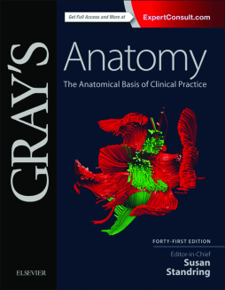Gray's Anatomy E-Book Gray's Anatomy E-Book