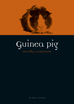 Guinea Pig Guinea Pig