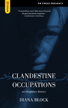 Clandestine Occupations Clandestine Occupations
