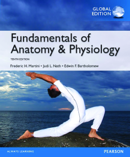 Fundamentals of Anatomy & Physiology, Global Edition Fundamentals of Anatomy & Physiology, Global Edition