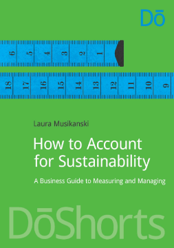 How to Account for Sustainability How to Account for Sustainability