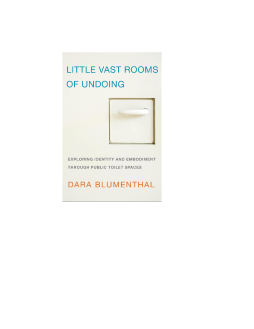 Little Vast Rooms of Undoing Little Vast Rooms of Undoing