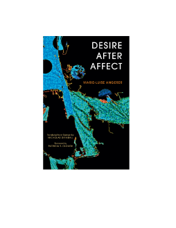 Desire After Affect Desire After Affect