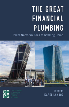 The Great Financial Plumbing The Great Financial Plumbing