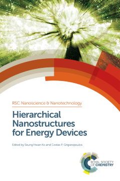 Hierarchical Nanostructures for Energy Devices Hierarchical Nanostructures for Energy Devices