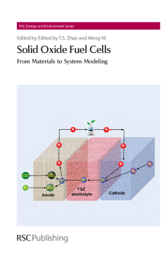Solid Oxide Fuel Cells Solid Oxide Fuel Cells