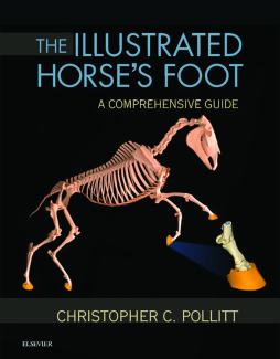 The Illustrated Horse's Foot - E-Book