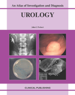 Urology: an Atlas of Investigation and Management