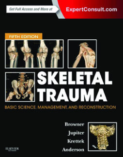 Skeletal Trauma E-Book