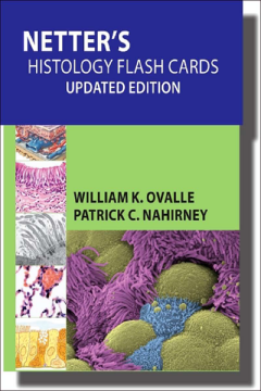 Netter's Histology Flash Cards Updated Edition E-Book Netter's Histology Flash Cards Updated Edition E-Book