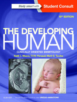The Developing Human The Developing Human