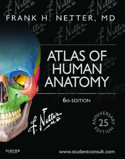Atlas of Human Anatomy, Professional Edition Atlas of Human Anatomy, Professional Edition
