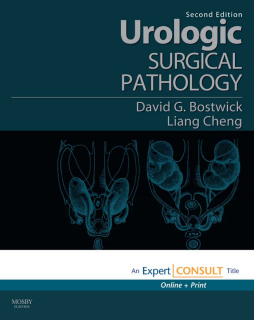 Urologic Surgical Pathology E-Book Urologic Surgical Pathology E-Book