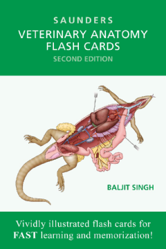 Veterinary Anatomy Flash Cards -- E-Book