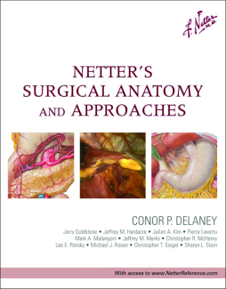 Netter's Surgical Anatomy and Approaches E-Book Netter's Surgical Anatomy and Approaches E-Book