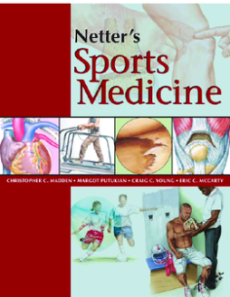 Netter's Sports Medicine E-Book Netter's Sports Medicine E-Book