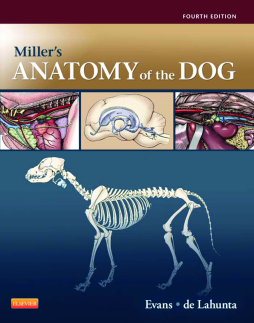 Miller's Anatomy of the Dog - E-Book Miller's Anatomy of the Dog - E-Book