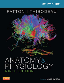 Study Guide for Anatomy & Physiology - E-Book Study Guide for Anatomy & Physiology - E-Book