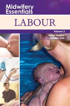 Midwifery Essentials: Labour E-Book Midwifery Essentials: Labour E-Book