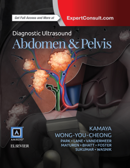 Diagnostic Ultrasound: Abdomen and Pelvis E-Book Diagnostic Ultrasound: Abdomen and Pelvis E-Book
