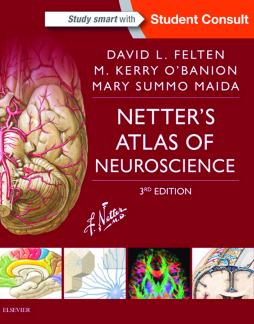 Netter's Atlas of Neuroscience E-Book Netter's Atlas of Neuroscience E-Book