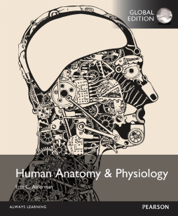 Human Anatomy & Physiology, Global Edition Human Anatomy & Physiology, Global Edition