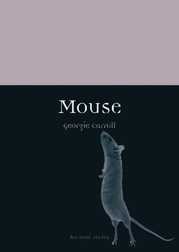 Mouse Mouse