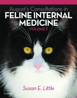 August's Consultations in Feline Internal Medicine, Volume 7 - E-Book