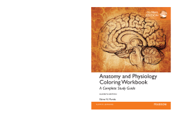 Anatomy and Physiology Coloring Workbook: A Complete Study Guide, Global Edition Anatomy and Physiology Coloring Workbook: A Complete Study Guide, Global Edition