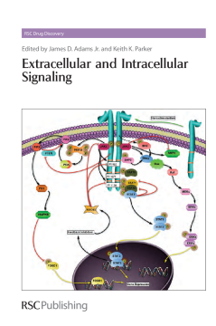 Extracellular and Intracellular Signaling Extracellular and Intracellular Signaling