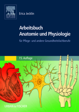 Arbeitsbuch Anatomie und Physiologie Arbeitsbuch Anatomie und Physiologie