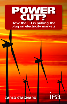 Power Cut? How the EU Is Pulling the Plug on Electricity Markets