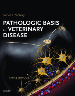 Pathologic Basis of Veterinary Disease Expert Consult - E-BOOK