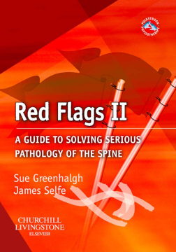 Red Flags II E-Book