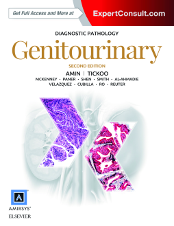 Diagnostic Pathology: Genitourinary E-Book Diagnostic Pathology: Genitourinary E-Book