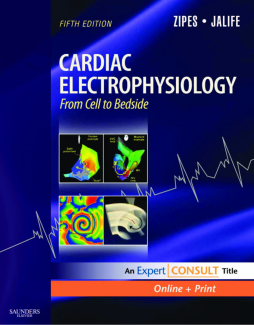 Cardiac Electrophysiology: From Cell to Bedside E-Book