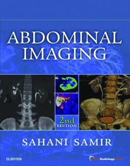 Abdominal Imaging E-Book Abdominal Imaging E-Book