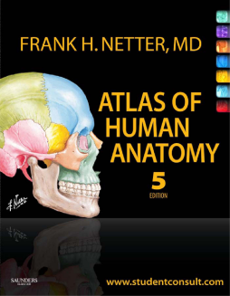 Atlas of Human Anatomy E-Book Atlas of Human Anatomy E-Book