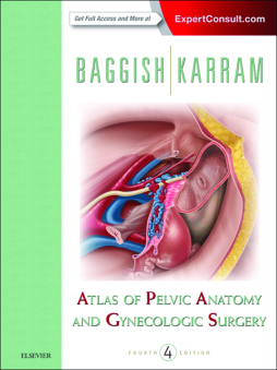 Atlas of Pelvic Anatomy and Gynecologic Surgery E-Book Atlas of Pelvic Anatomy and Gynecologic Surgery E-Book