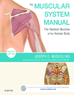 The Muscular System Manual - E-Book