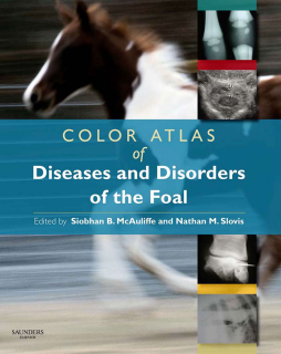 Color Atlas of Diseases and Disorders of the Foal E-Book Color Atlas of Diseases and Disorders of the Foal E-Book