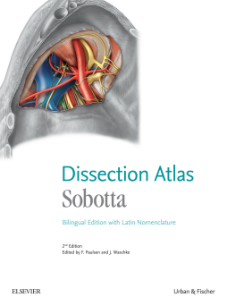Sobotta Dissection Atlas Sobotta Dissection Atlas